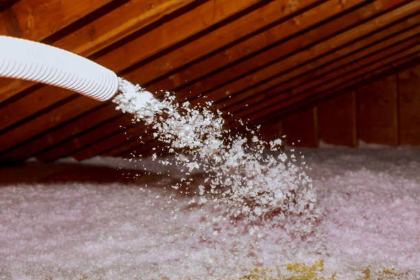 Best Eco-Friendly Insulation in USA